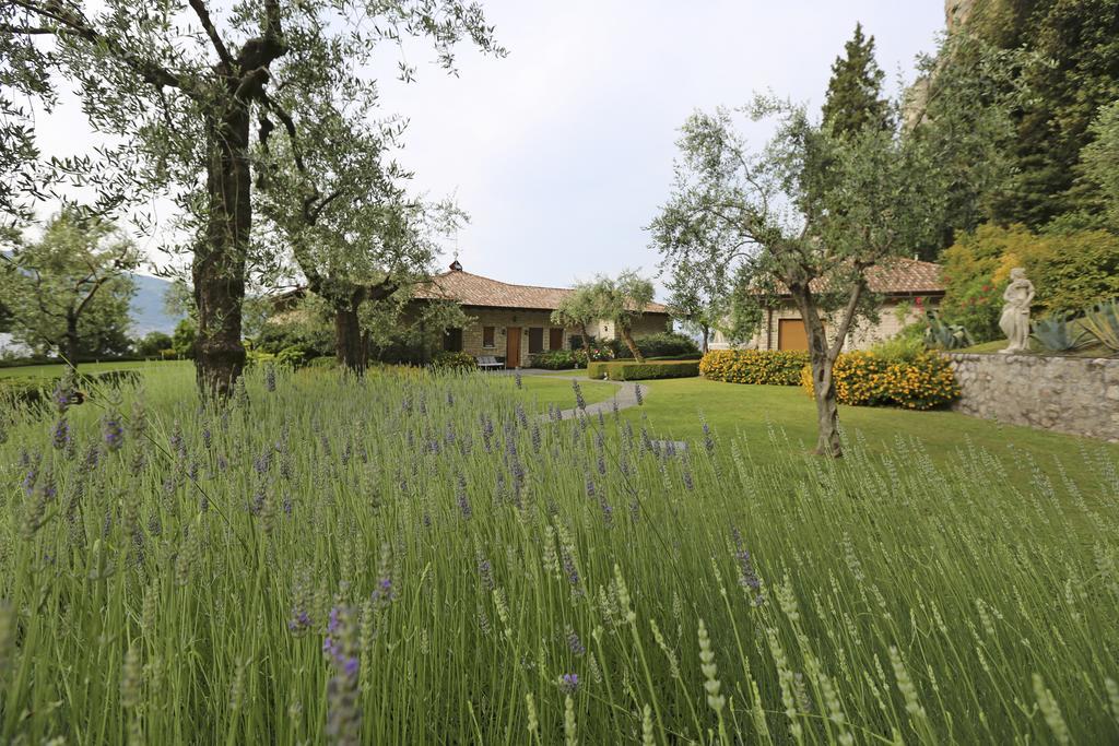 Torre Degli Ulivi Bed & Breakfast