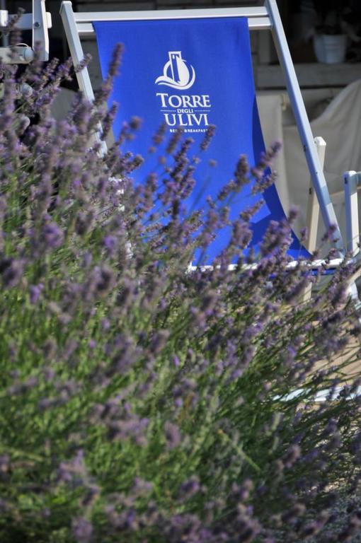 Bed & Breakfast Torre Degli Ulivi *